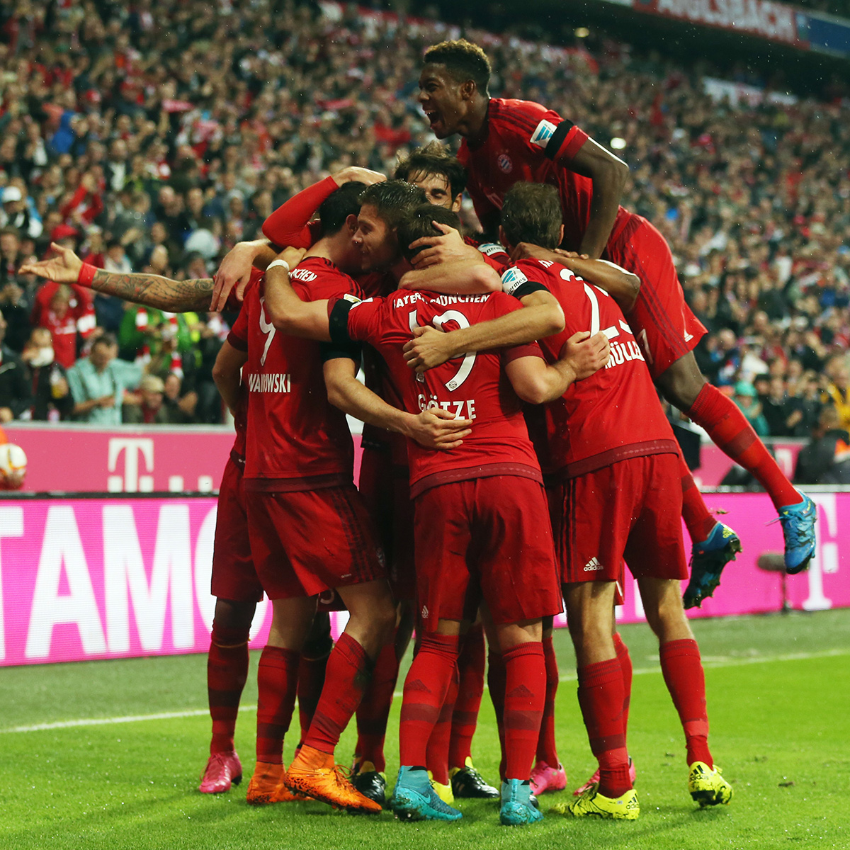 葵花籽榨油设备