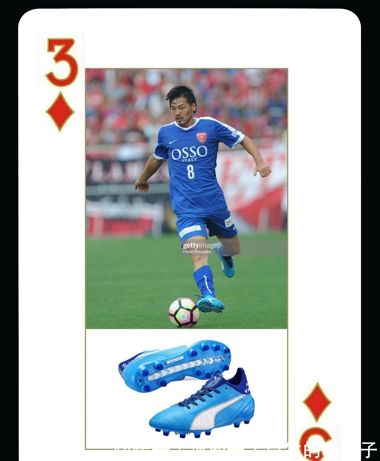 30吨植物油精炼设备