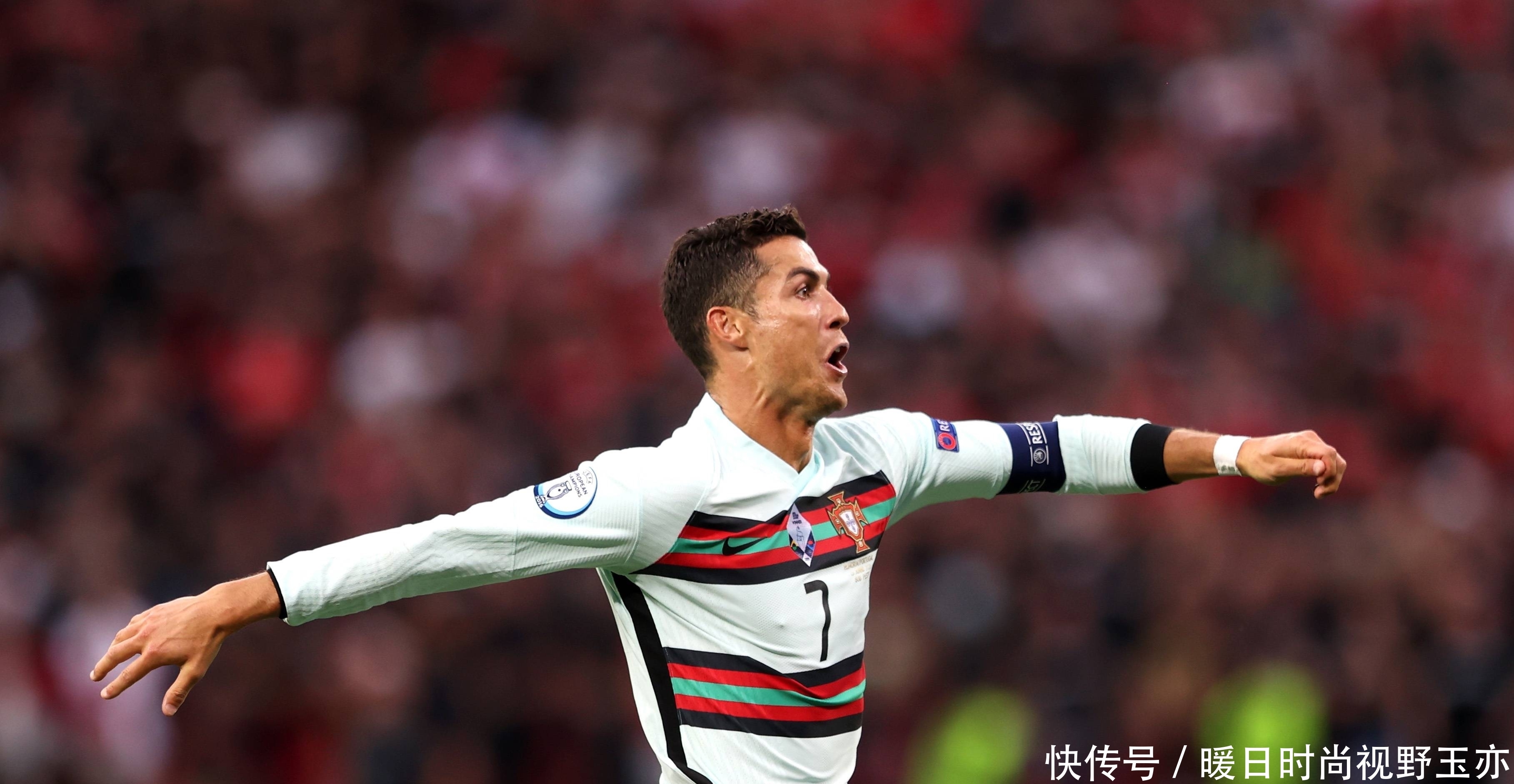 动物油熬炼设备