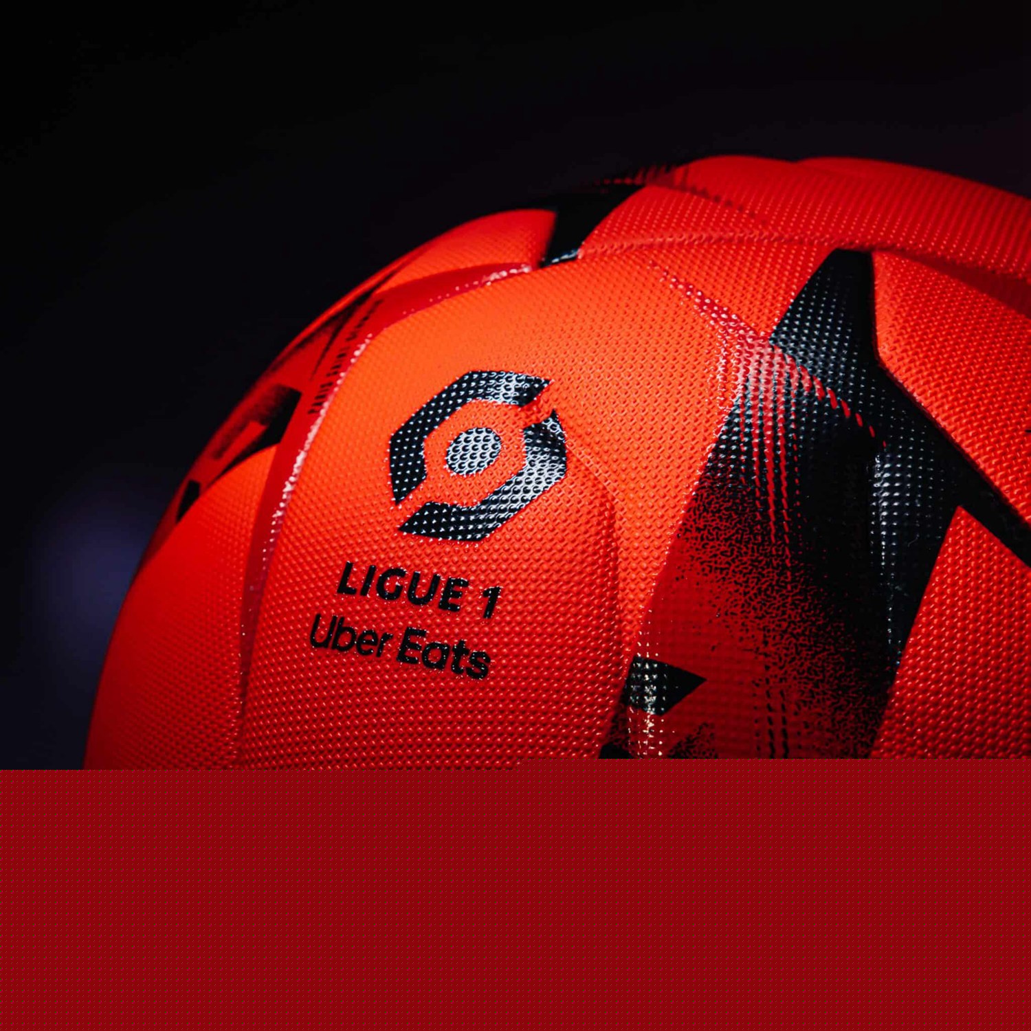 葵花籽榨油设备